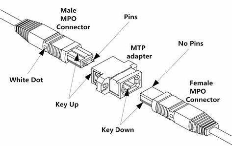 Stamm-Kabel Verbindungsstück-Art 12F MPO-MPO