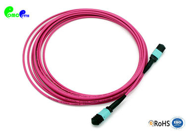 MPO Trunk Cable OM4 24F 3.0mm 50 / 125μm MPO Female MPO Patch Cable LSZH Violet Senko